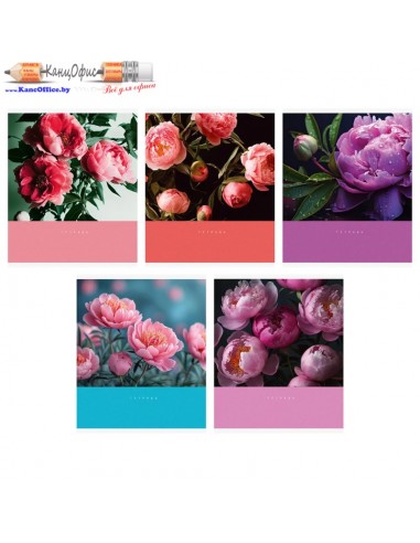 Тетрадь "Цветочный сад", А5, 48...